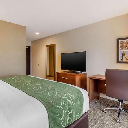 Comfort Inn & Suites Schenectady - Scotia Eksteriør bilde