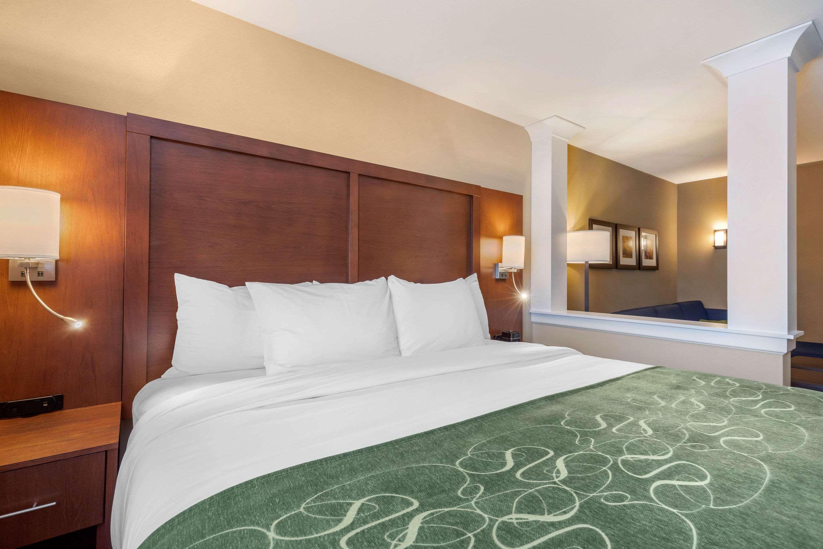 Comfort Inn & Suites Schenectady - Scotia Eksteriør bilde