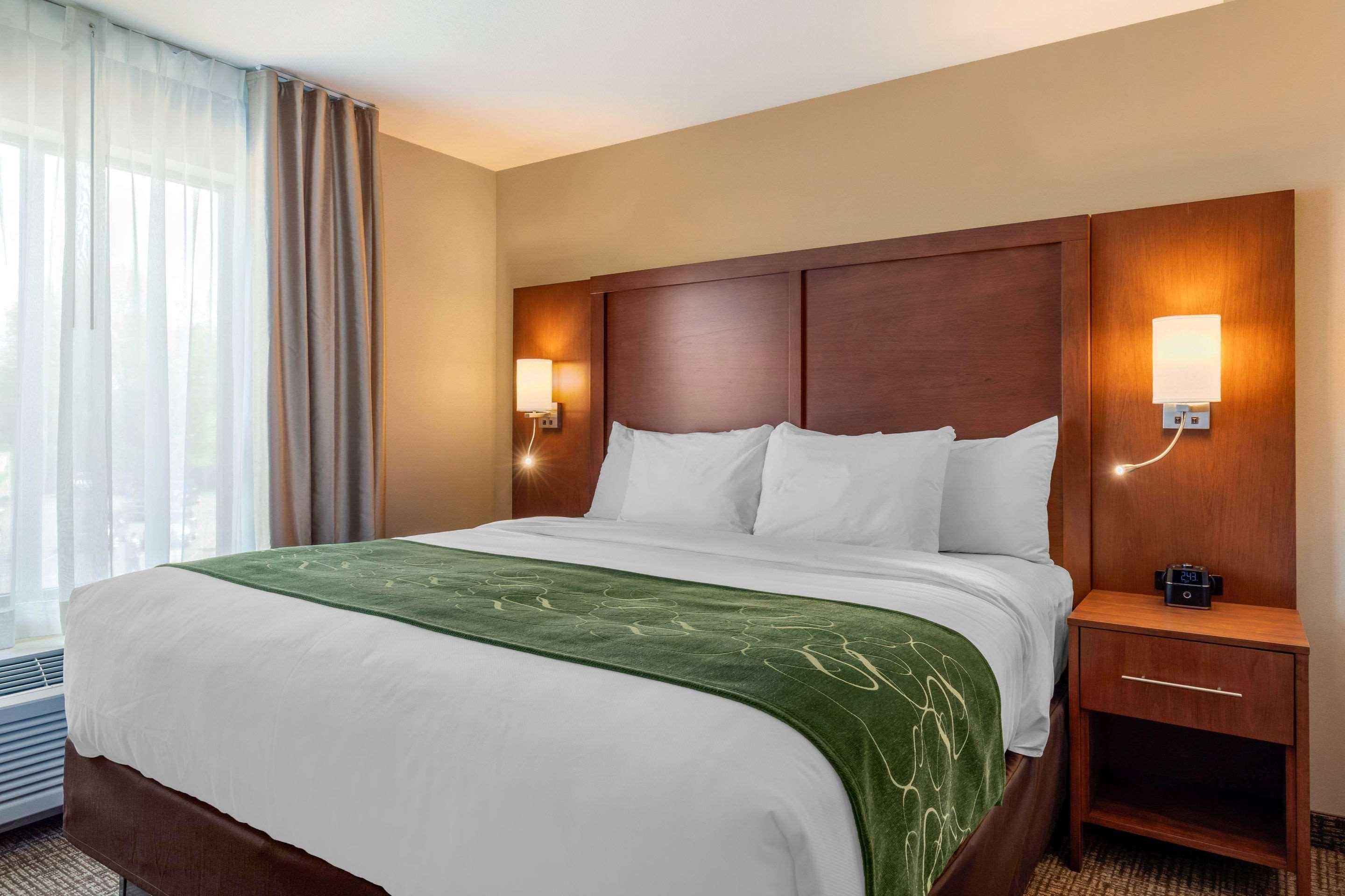Comfort Inn & Suites Schenectady - Scotia Eksteriør bilde