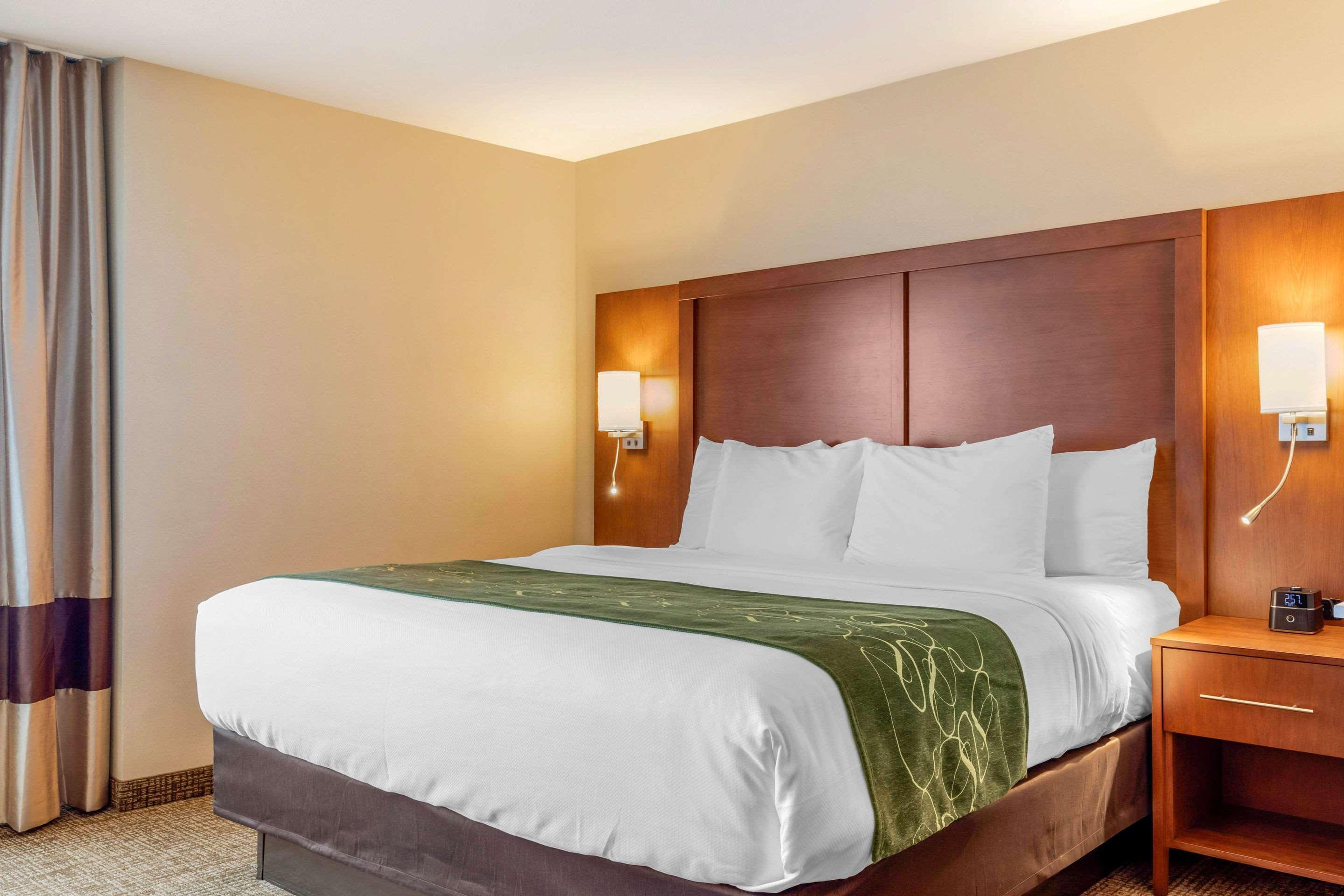 Comfort Inn & Suites Schenectady - Scotia Eksteriør bilde