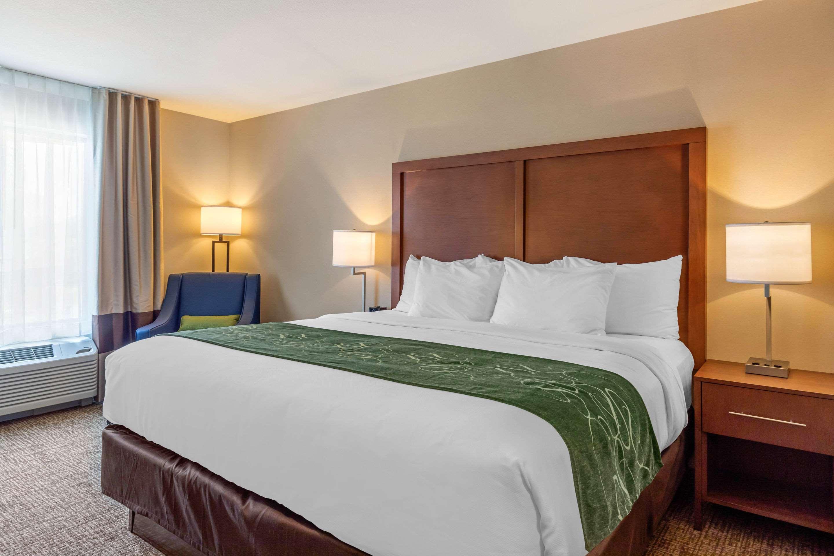 Comfort Inn & Suites Schenectady - Scotia Eksteriør bilde