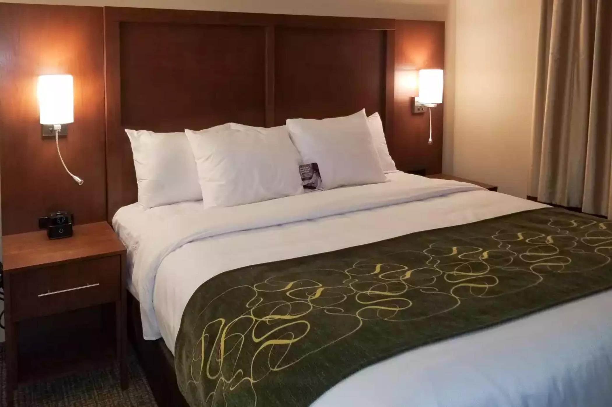 Comfort Inn & Suites Schenectady - Scotia Eksteriør bilde