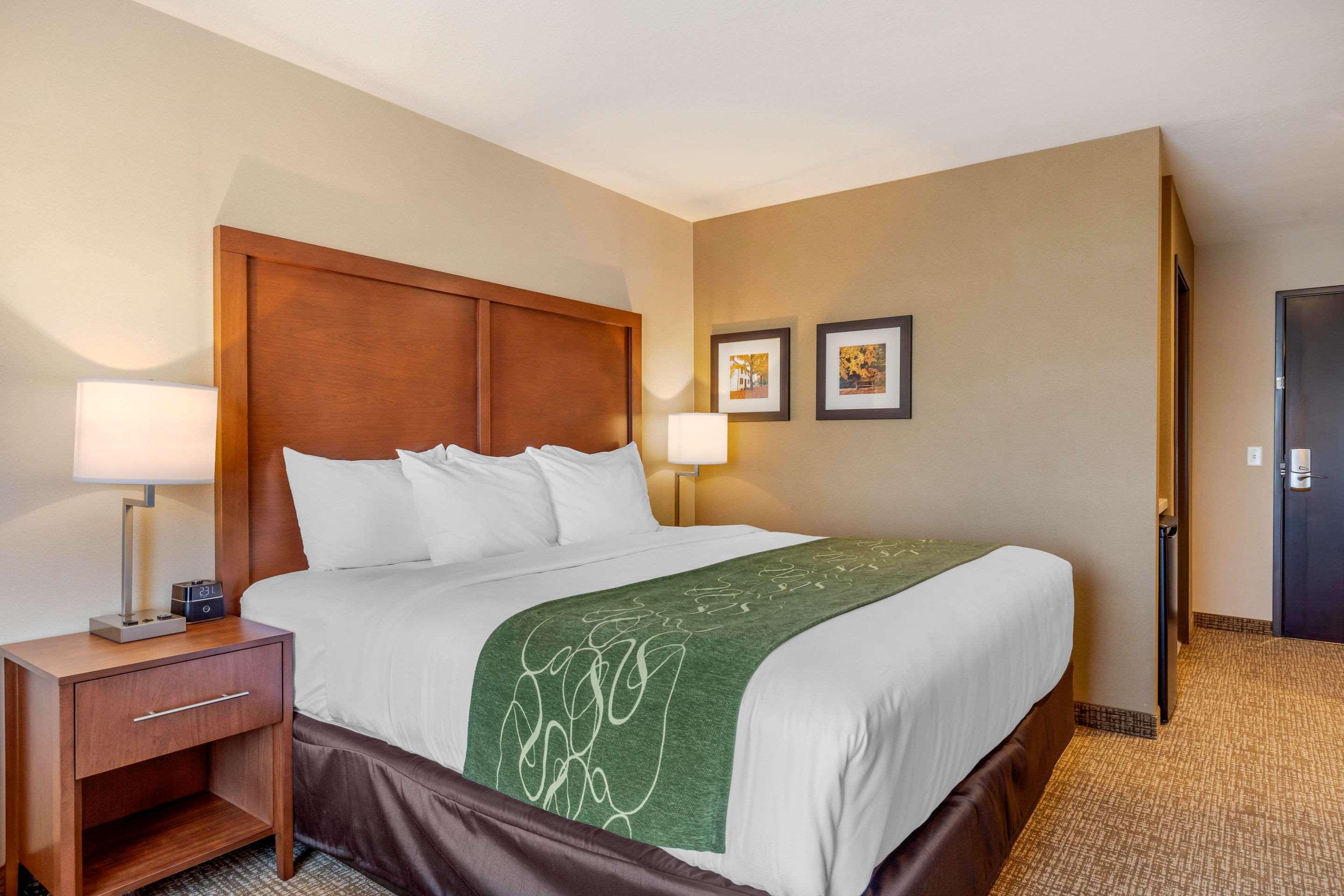 Comfort Inn & Suites Schenectady - Scotia Eksteriør bilde