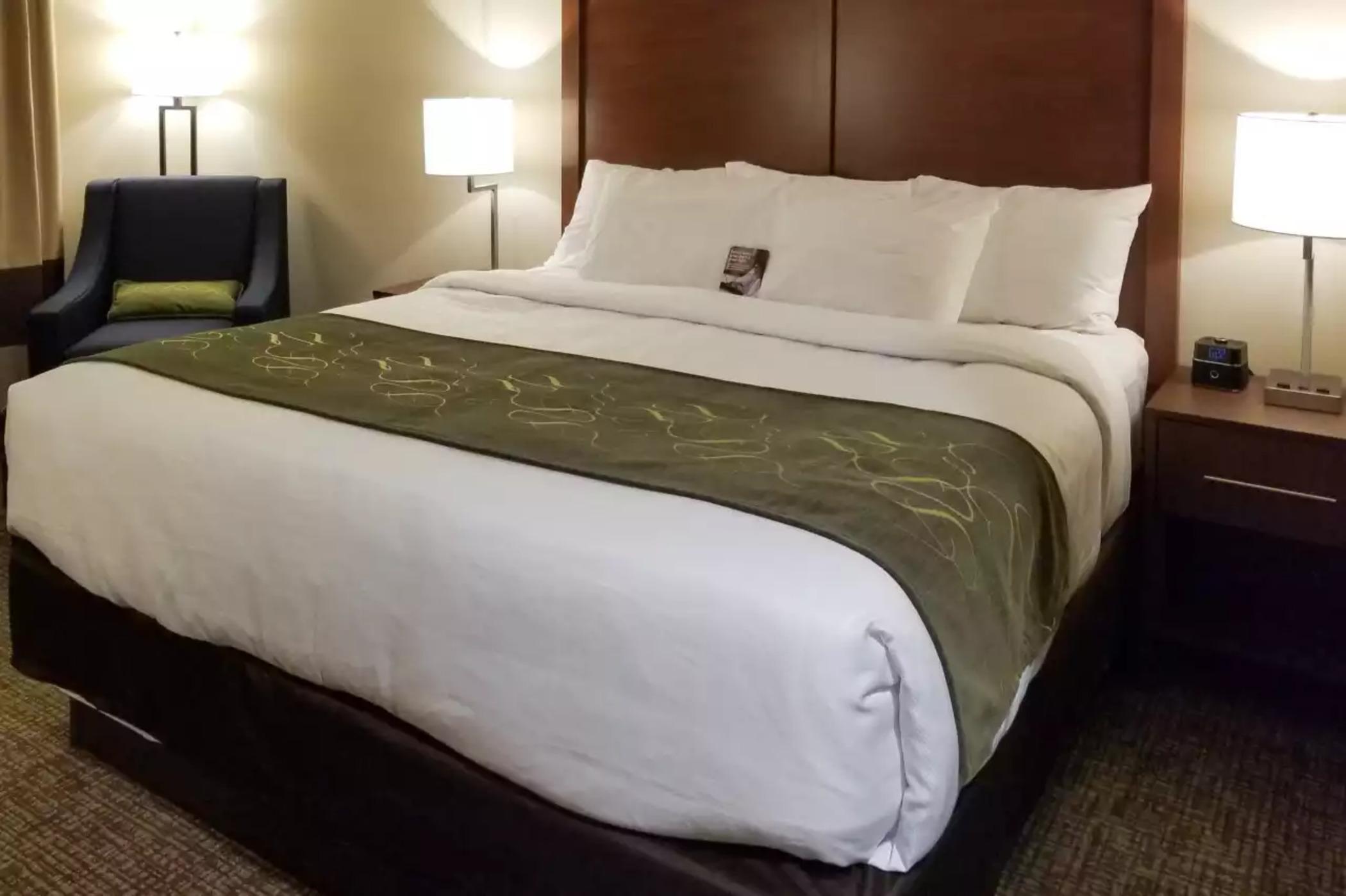 Comfort Inn & Suites Schenectady - Scotia Eksteriør bilde