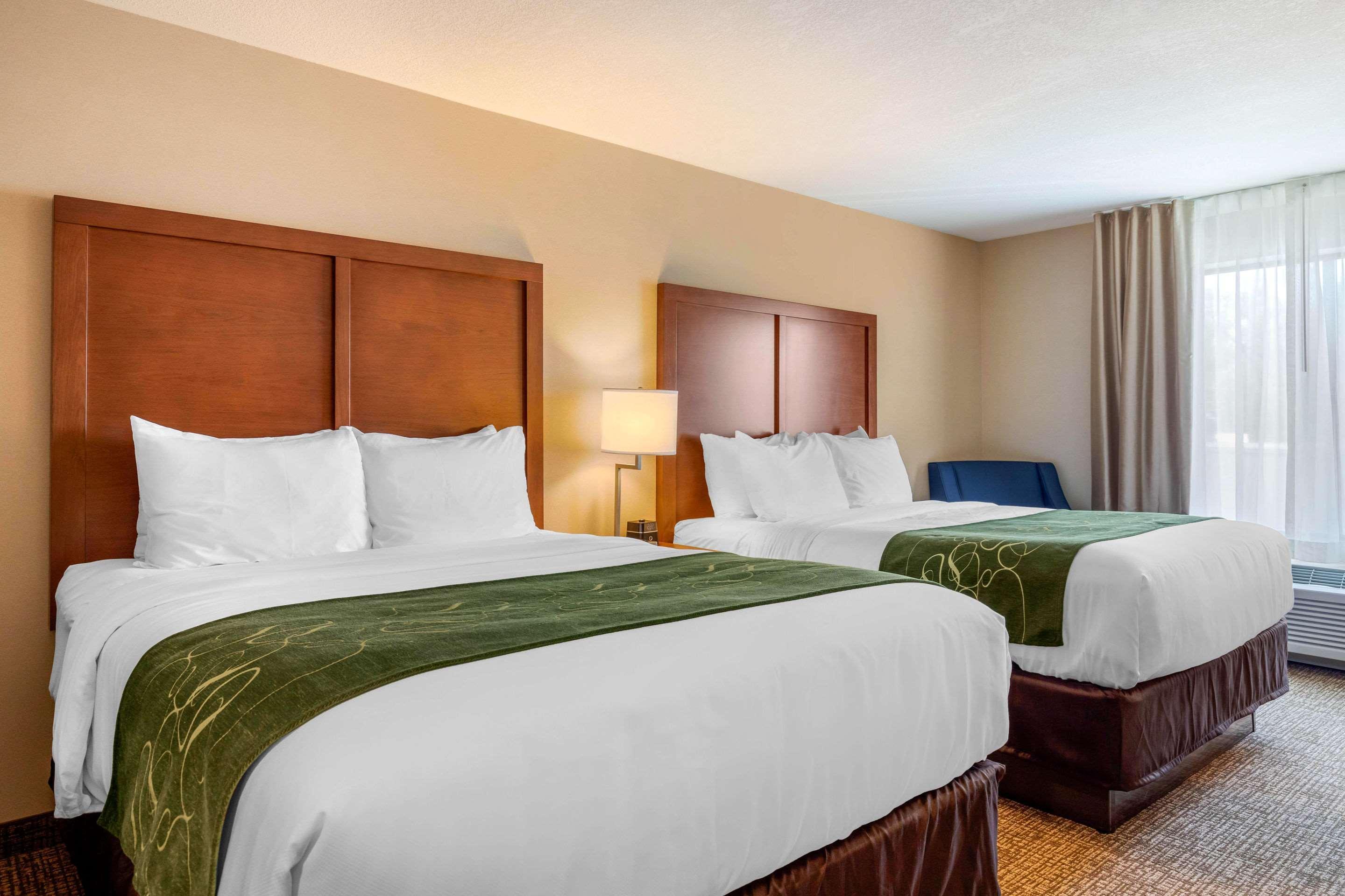 Comfort Inn & Suites Schenectady - Scotia Eksteriør bilde