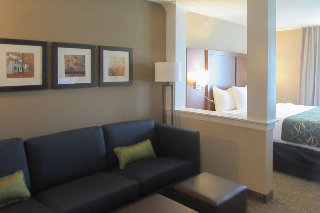 Comfort Inn & Suites Schenectady - Scotia Rom bilde